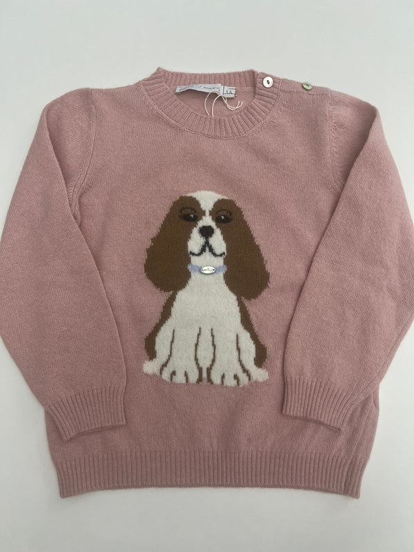 Maglioncino cagnolina