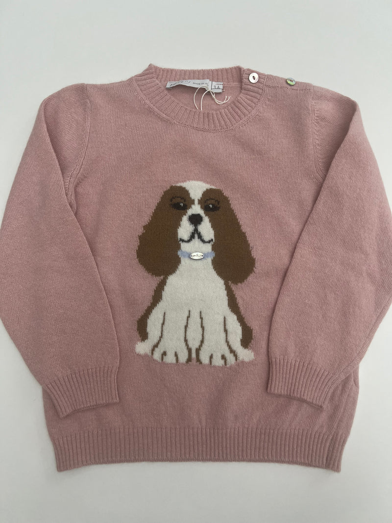 Maglioncino cagnolina