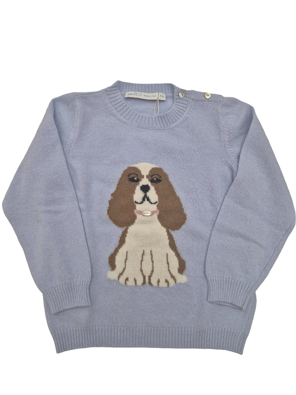 Maglioncino cagnolina