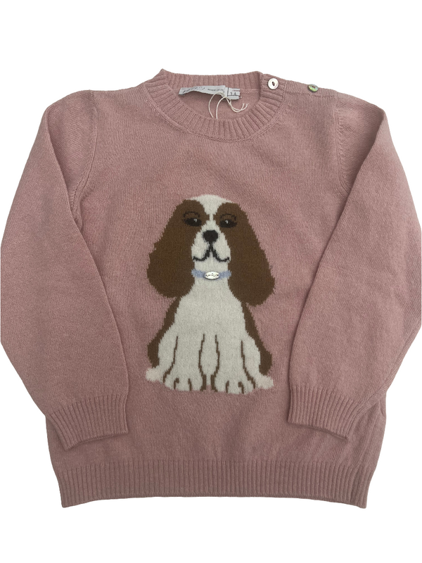 Maglioncino cagnolina