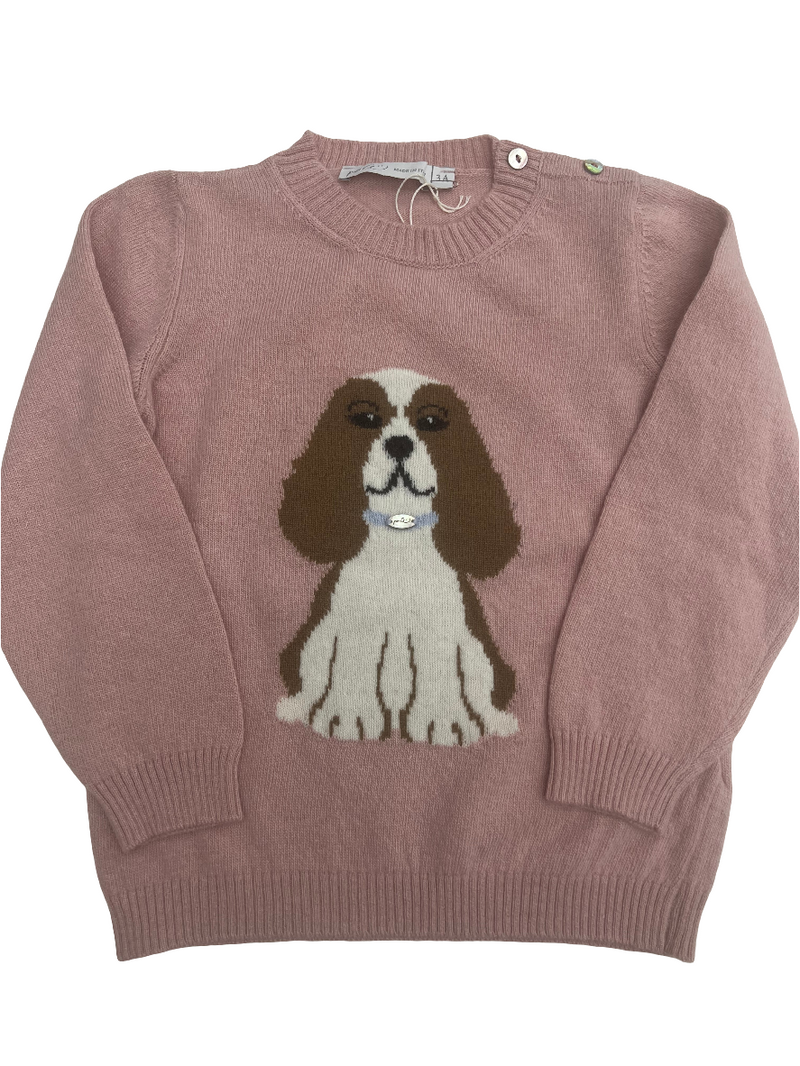 Maglioncino cagnolina
