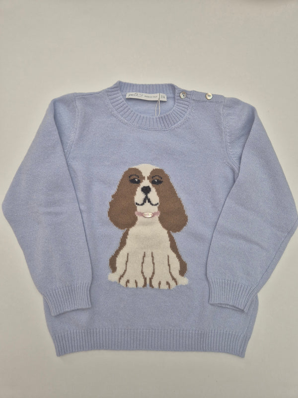 Maglioncino cagnolina